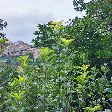 Piso Rural Sol Bergueda Διαμέρισμα Aviá Εξωτερικό φωτογραφία